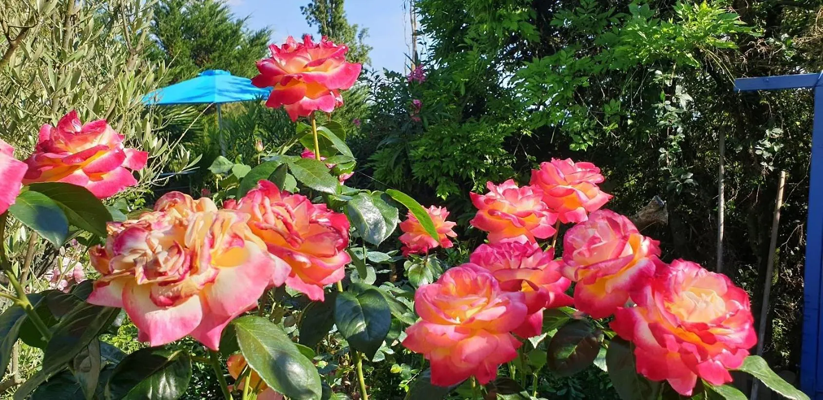 *** Guest house L'Hermine Occitane B&B France