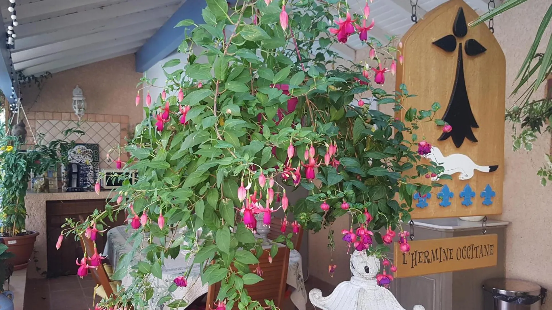 Guest house L'Hermine Occitane B&B