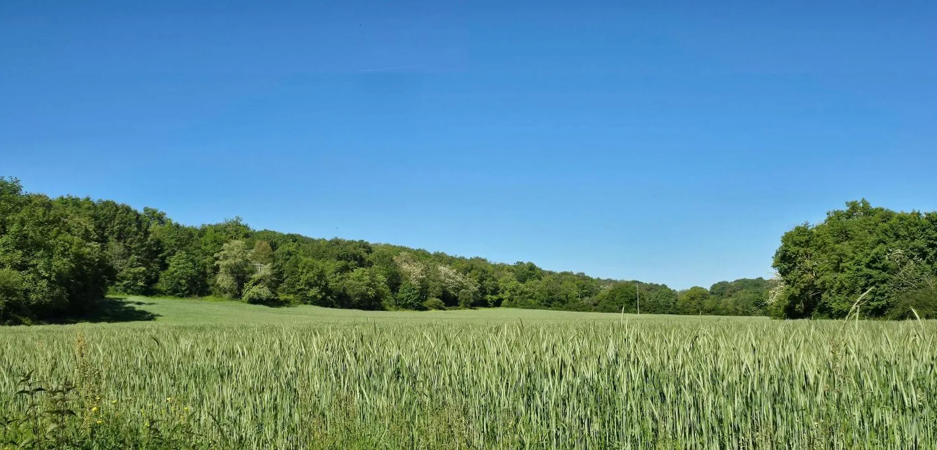 L'Hermine Occitane B&B 3*, Gratens