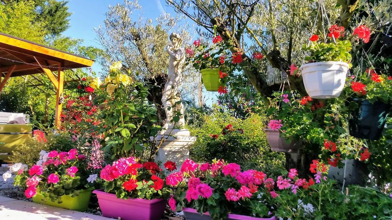 L'Hermine Occitane B&B